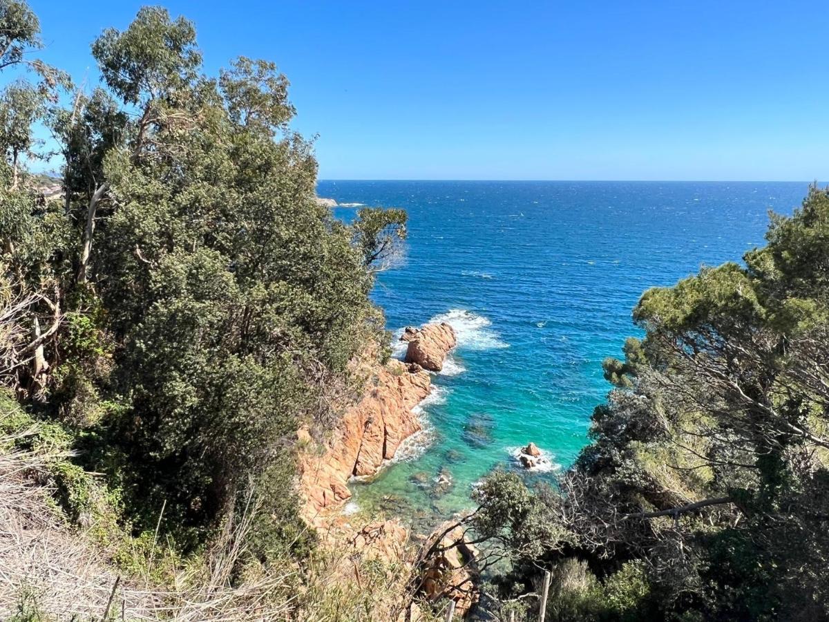 Family B&B Homefromhomees Sant Feliu de Guixols Exterior photo